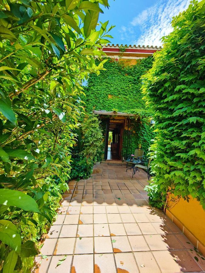 Hotel Donana Blues Matalascañas Екстериор снимка