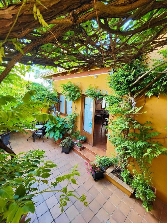 Hotel Donana Blues Matalascañas Екстериор снимка