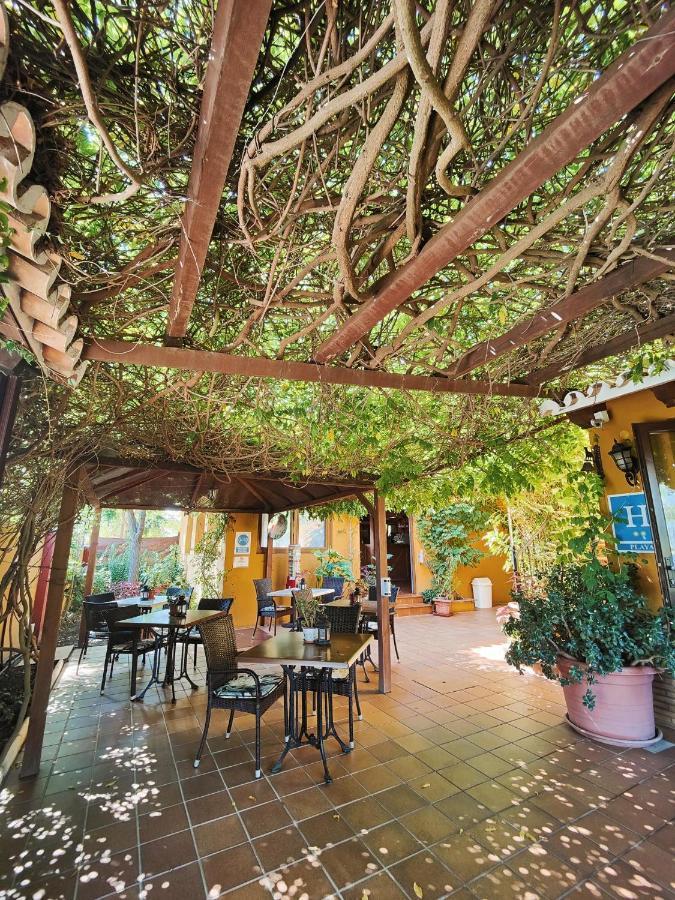 Hotel Donana Blues Matalascañas Екстериор снимка