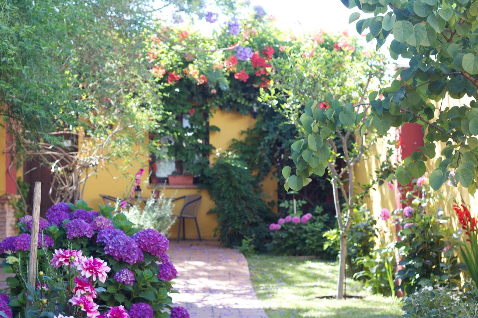 Hotel Donana Blues Matalascañas Екстериор снимка