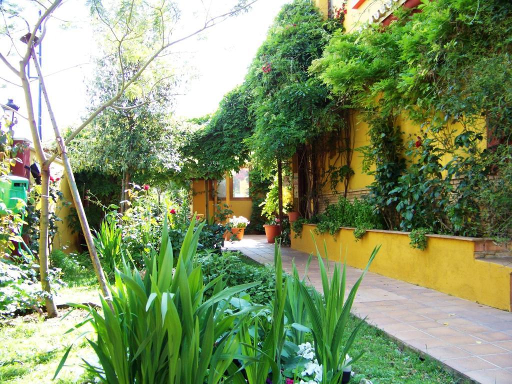 Hotel Donana Blues Matalascañas Екстериор снимка